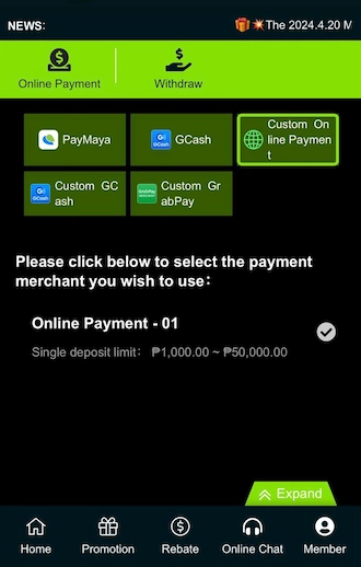 Step 1: Choose Custom Online Payment deposit method