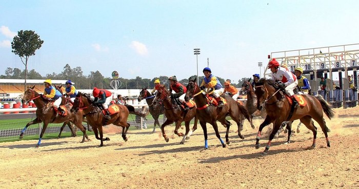 Learn about horse racing betting